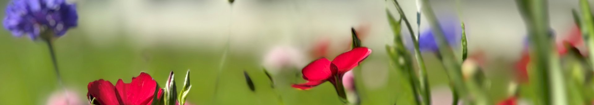 Rejoignez-nous